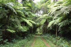 Parque Estadual Rio Guarani, em Três Barras do Paraná.Foto: Divulgação