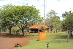 IAP estabelece a criação do Conselho Consultivo do Parque Estadual Mata São Francisco, entre Cornélio Procópio e Santa Mariana.Foto: Divulgação IAP