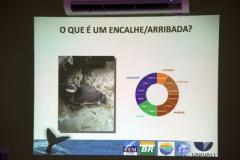 Reunião no Parque Estadual Rio da Onça, em Matinhos, sobre atuação conjunta entre o IAP, Secretaria do Meio Ambiente, Corpo de Bombeiros, Polícia ambiental, municípios do Litoral e o Centro de estudos do Mar (CEM), da Universidade Federal do Paraná (UFPR), sobre resgate de animais marinhos nas praias do Estado.Matinhos, 01/02/2017.Foto: Soldado Augusto/PMPR