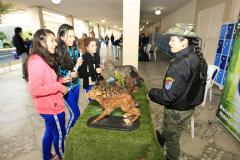 A preocupação com a preservação ambiental, combate ao desperdício, pesquisas de fontes alternativas de energia e a promoção de hábitos alimentares saudáveis estão entre os temas trabalhados nas escolas estaduais, por meio de projetos educacionais voltados à sustentabilidade.Foto: Hedeson Alves/Arquivo SEED