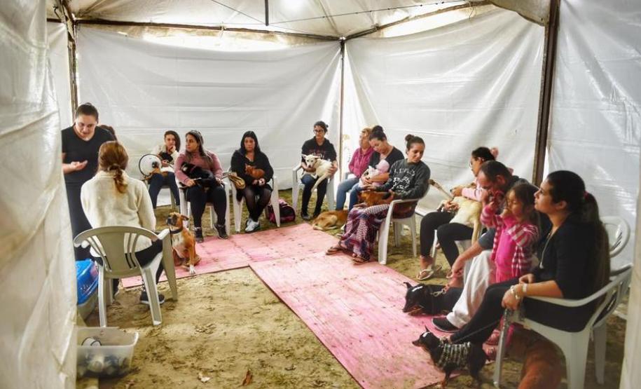 Castração gratuita de cães e gatos inicia ações do Julho Dourado
