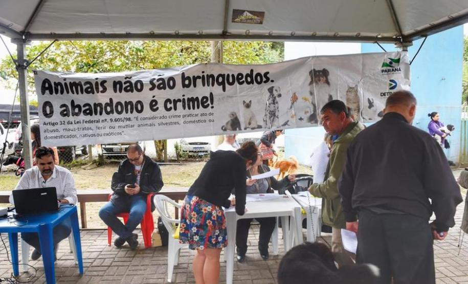 Castração gratuita de cães e gatos inicia ações do Julho Dourado