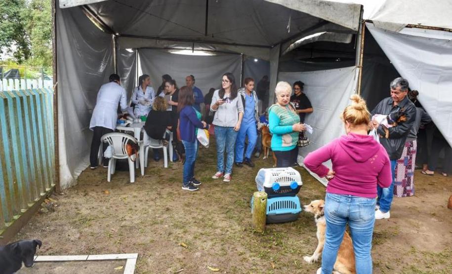 Castração gratuita de cães e gatos inicia ações do Julho Dourado
