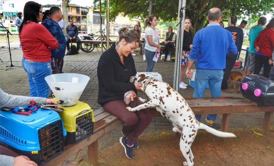 Castração gratuita de cães e gatos inicia ações do Julho Dourado