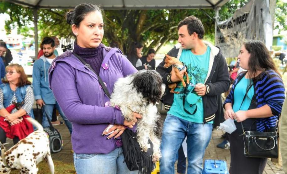 Castração gratuita de cães e gatos inicia ações do Julho Dourado