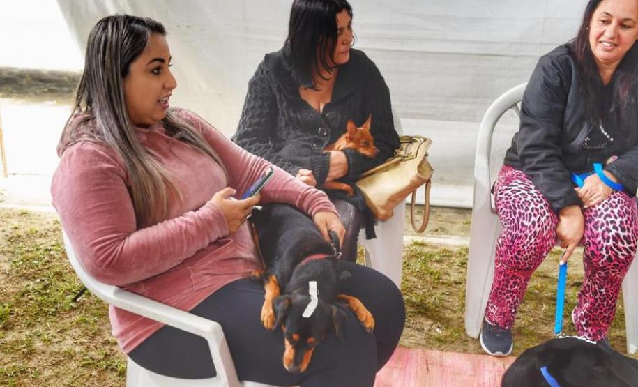 Castração gratuita de cães e gatos inicia ações do Julho Dourado