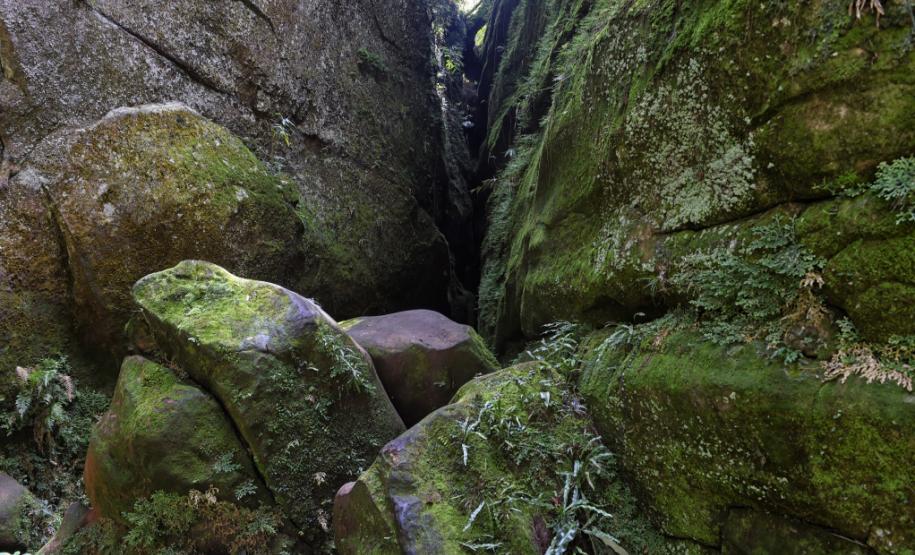 Parque Estadual do Guartelá.