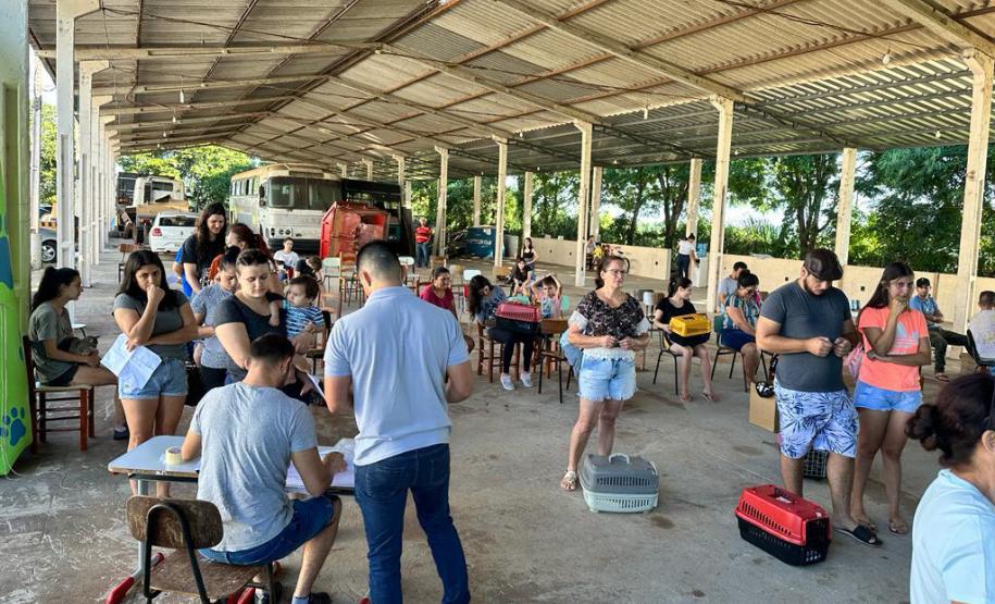 Com previsão de contemplar 30 municípios, CastraPet terá agenda intensa em fevereiro