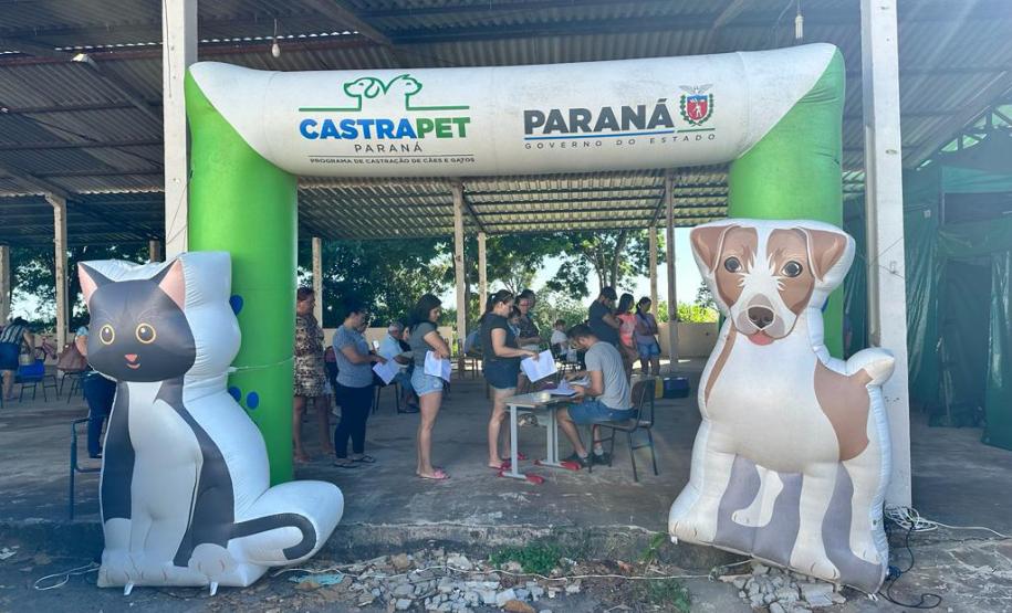 Com previsão de contemplar 30 municípios, CastraPet terá agenda intensa em fevereiro