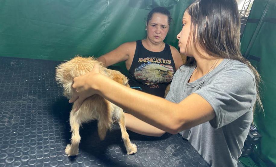 Com previsão de contemplar 30 municípios, CastraPet terá agenda intensa em fevereiro