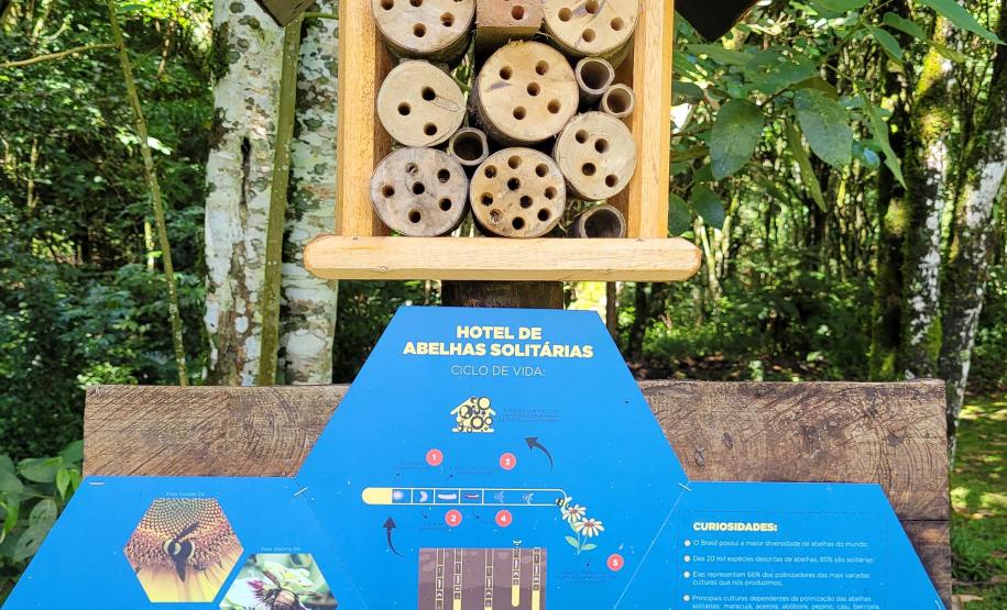 Parque Estadual de Campinhos é a primeira Unidade de Conservação a receber o Poliniza Paraná