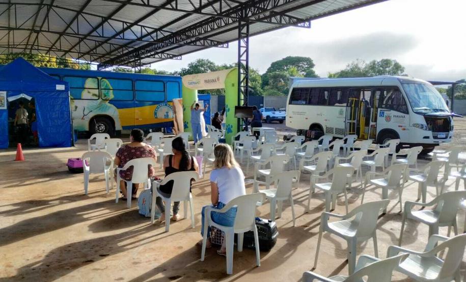 CastraPet abre agenda de março e deve esterilizar 1.195 cães e gatos na primeira quinzena