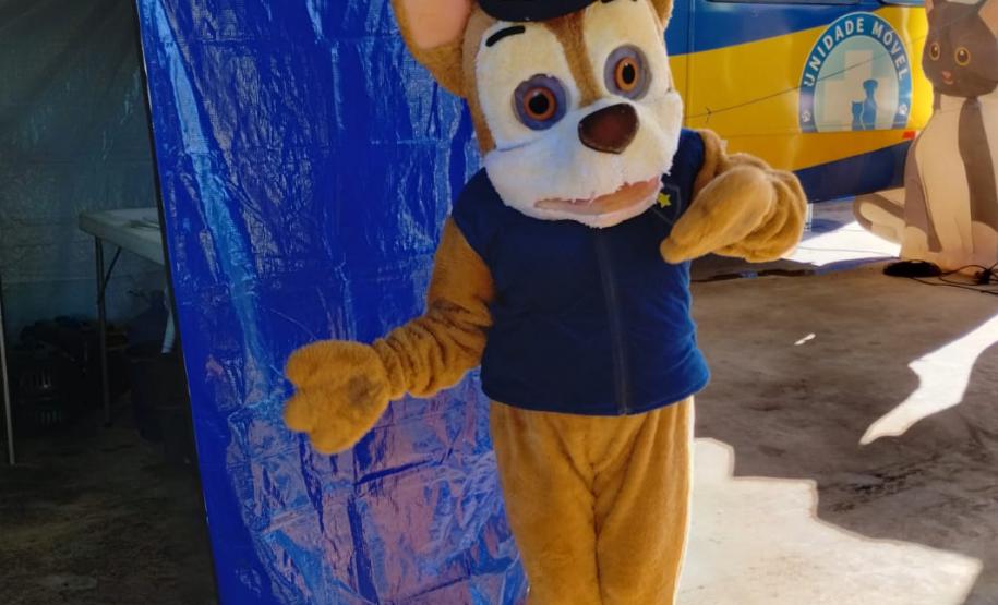 CastraPet abre agenda de março e deve esterilizar 1.195 cães e gatos na primeira quinzena