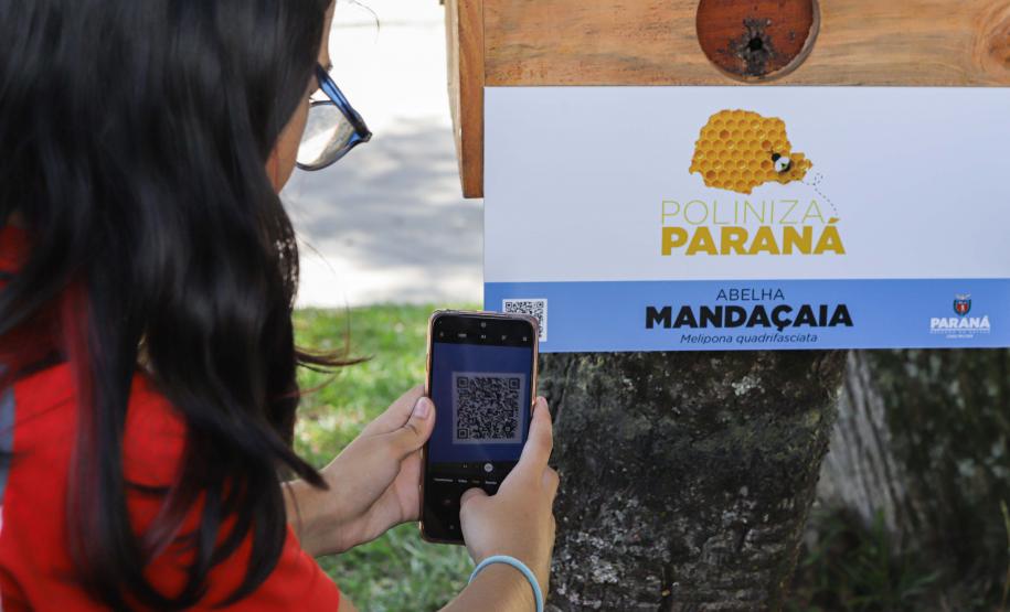 O governador do Paraná, Carlos Massa Ratinho Junior, inaugura o jardim de colmeias de abelhas nativas e a horta orgânica no Palácio Iguaçu.