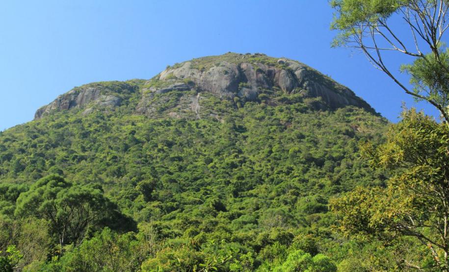 Mutirão voluntário com apoio técnico do Instituto Água e Terra (IAT) vai restaurar e revitalizar a trilha que dá acesso ao Morro Pão de Loth, um dos principais atrativos do Parque Estadual da Serra da Baitaca