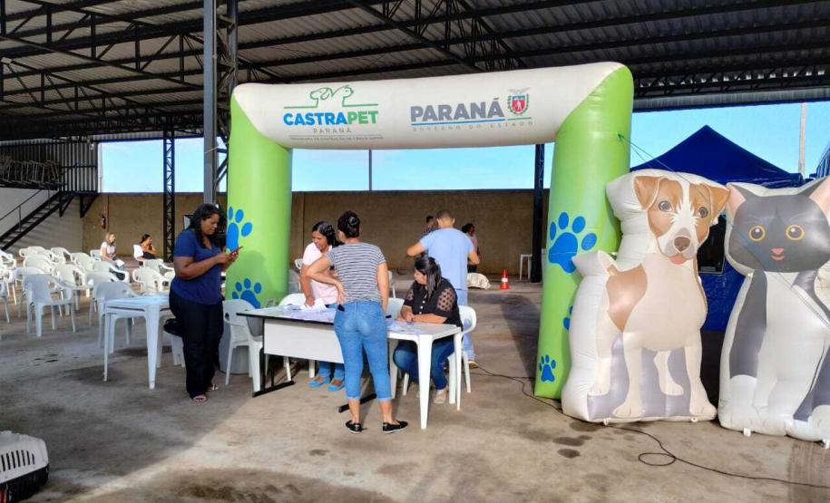 Programa Castrapet Paraná chegará a nove cidades em maio