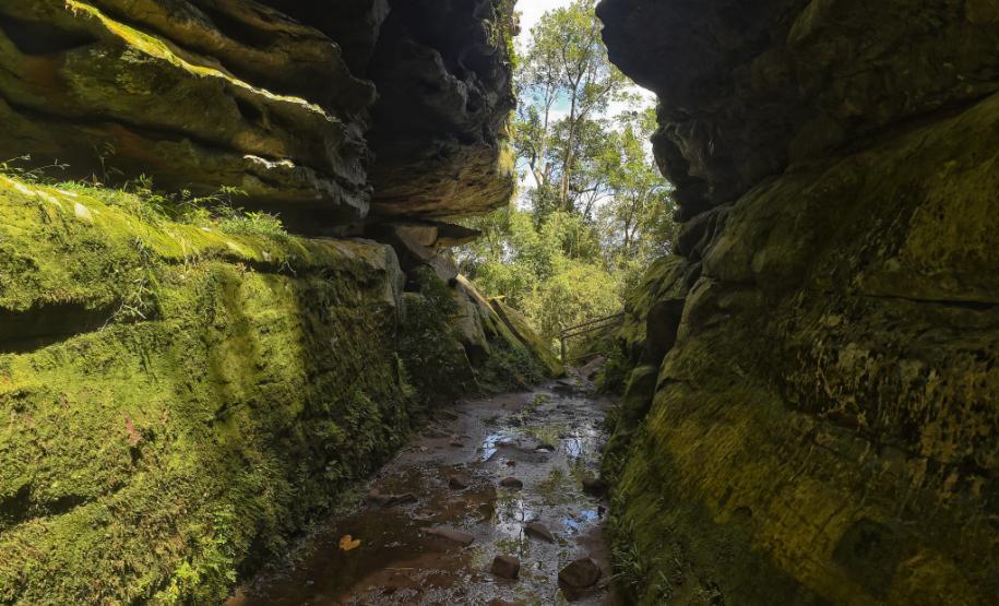 Parque Estadual do Guartelá.