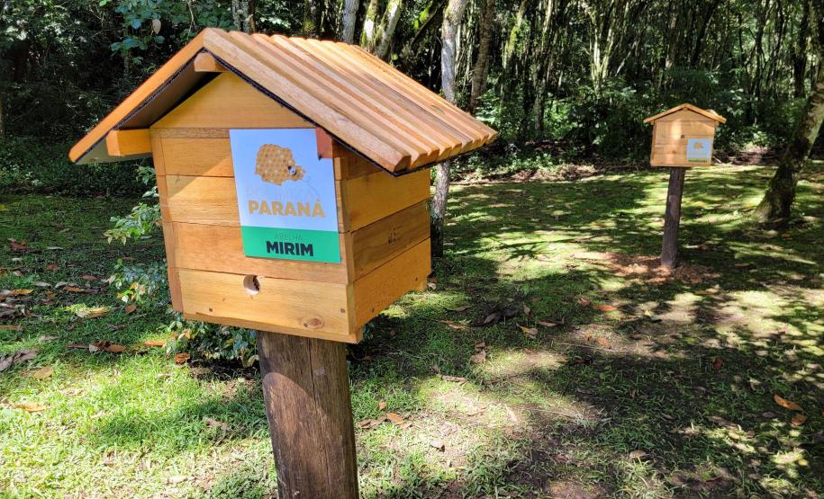 Paraná se mantém no topo da sustentabilidade com ampliação de programas e novas ações.