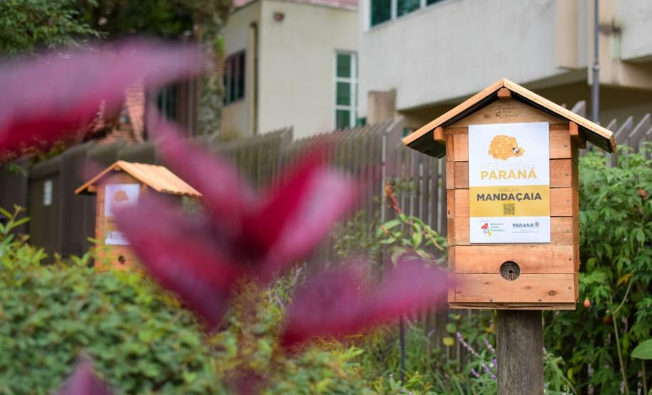 Colmeias do Poliniza Paraná na Sedest