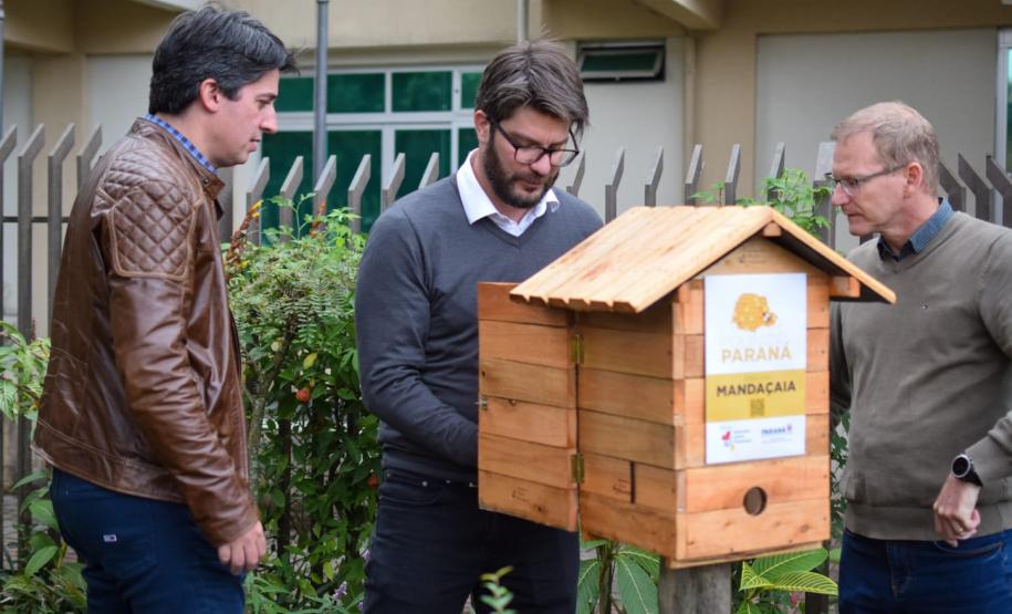 Colmeias do Poliniza Paraná na Sedest