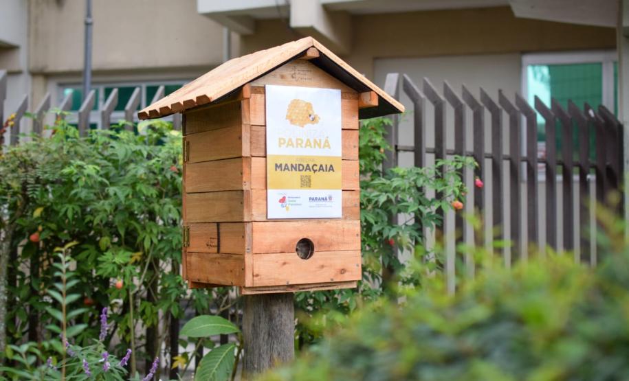 Colmeias do Poliniza Paraná na Sedest