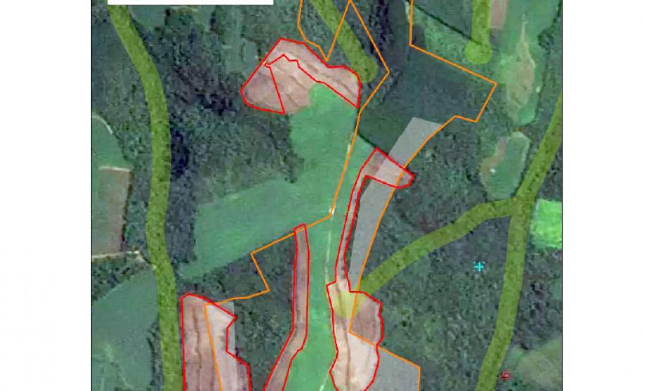 Desmatamento reduziu 42% no Paraná em 2022, aponta relatório do MapBiomas