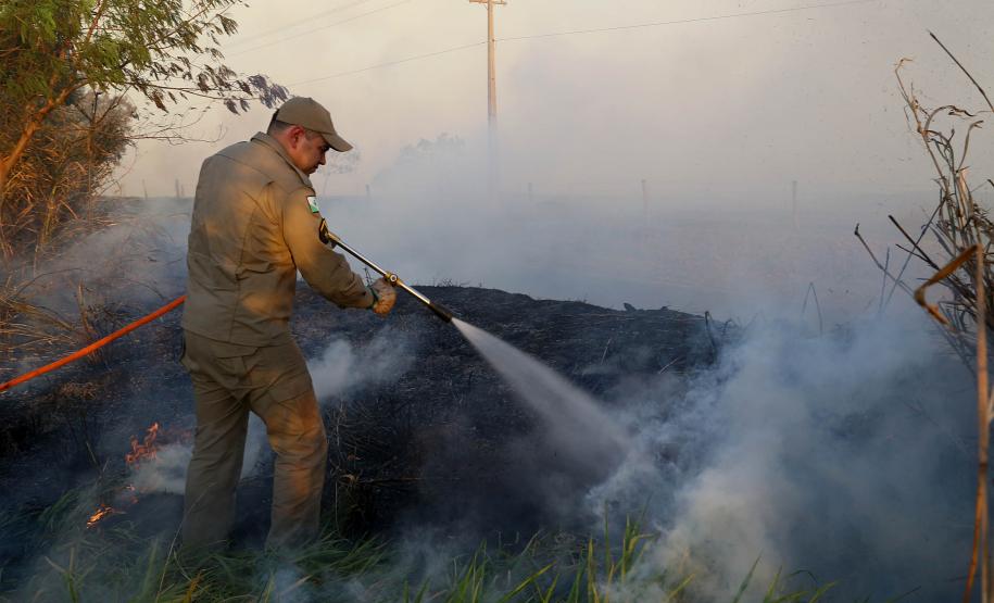 VFogo: conheça a plataforma tecnológica de vigilância de incêndios do Simepar
