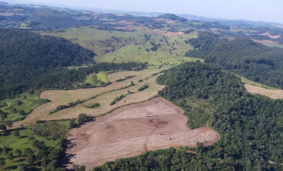 Desmatamento reduziu 42% no Paraná em 2022, aponta relatório do MapBiomas