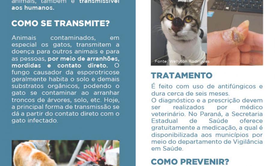 Julho Dourado: Estado lança cartilha orientativa sobre esporotricose em cães e gatos