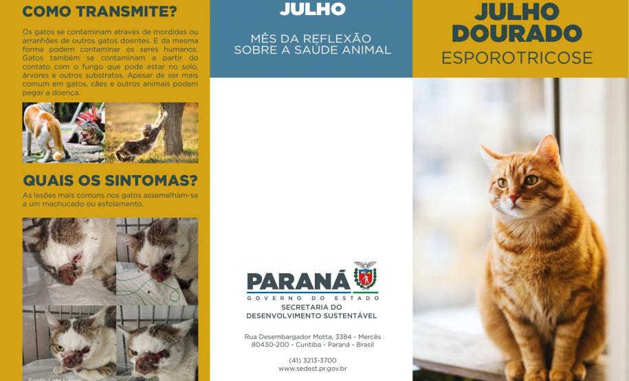 Julho Dourado: Estado lança cartilha orientativa sobre esporotricose em cães e gatos