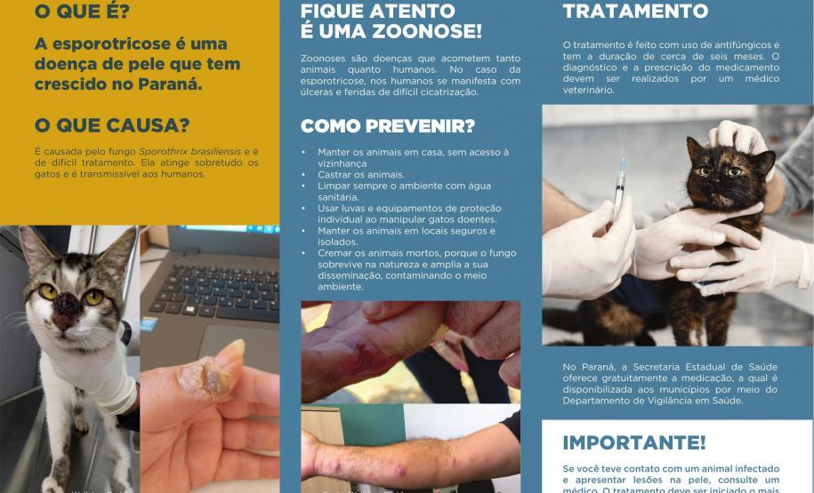 Julho Dourado: Estado lança cartilha orientativa sobre esporotricose em cães e gatos