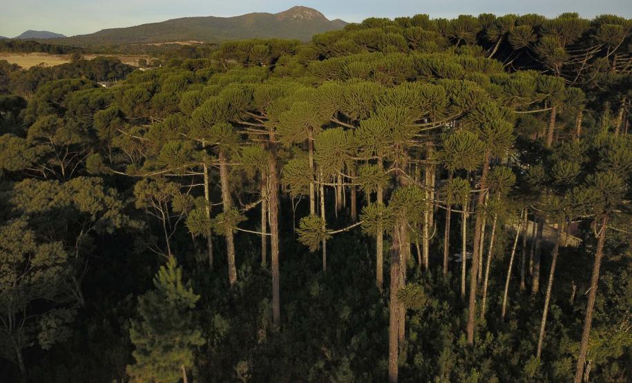 Governo do Paraná amplia logística reversa de baterias de chumbo ácido