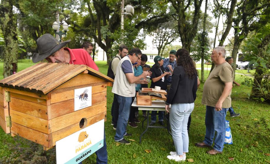 Servidores são capacitados para cuidar de colmeias do Poliniza Paraná