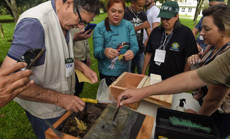 Servidores são capacitados para cuidar de colmeias do Poliniza Paraná
