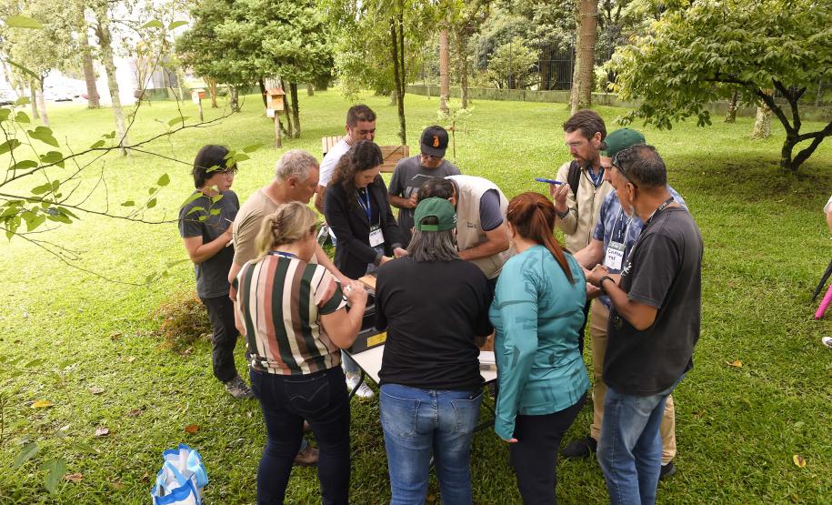 Servidores são capacitados para cuidar de colmeias do Poliniza Paraná
