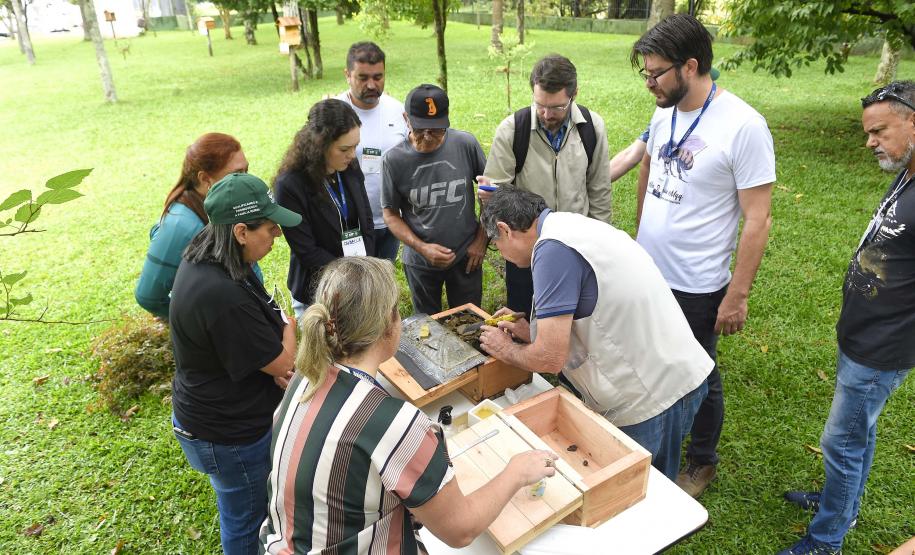 Servidores são capacitados para cuidar de colmeias do Poliniza Paraná