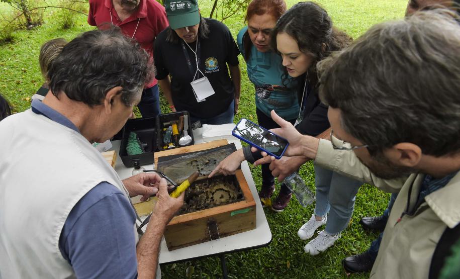 Servidores são capacitados para cuidar de colmeias do Poliniza Paraná