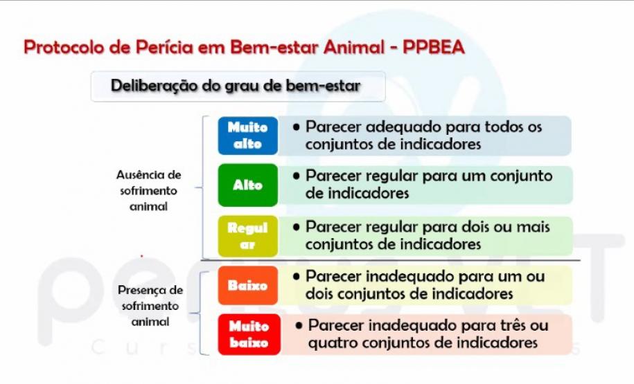 Estado promove capacitação em atendimento a casos de maus-tratos de animais domésticos