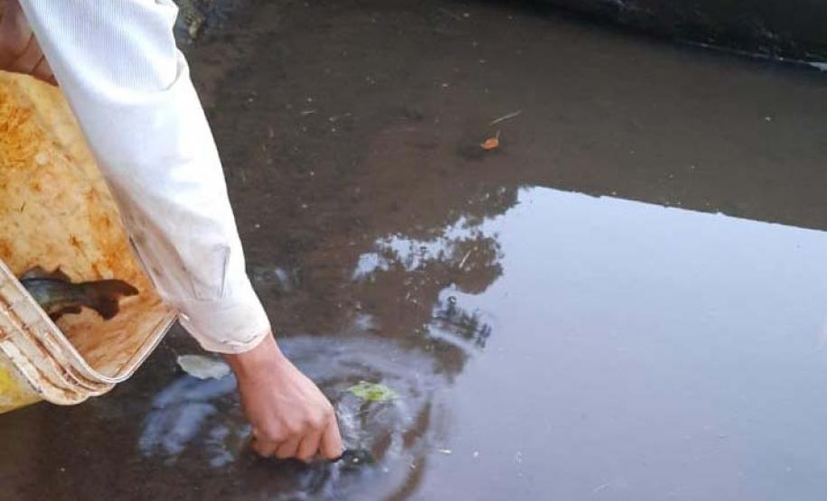 IAT fiscaliza pesca irregular e fecha cativeiro de aves no Centro-Oeste do Estado