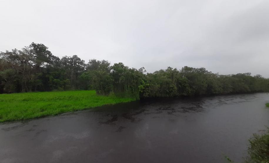 Estação Ecológica Rio das Pombas: Paraná ganha a 73ª Unidade de Conservação