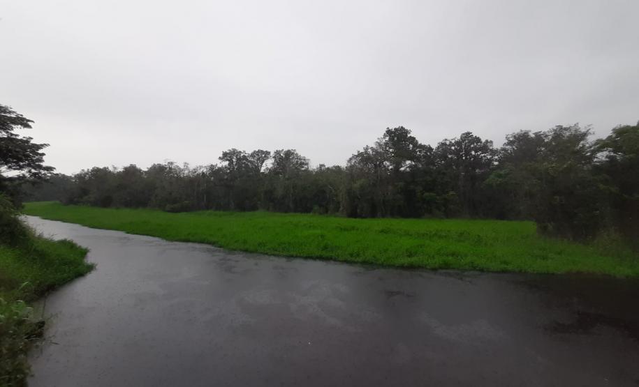 Estação Ecológica Rio das Pombas: Paraná ganha a 73ª Unidade de Conservação