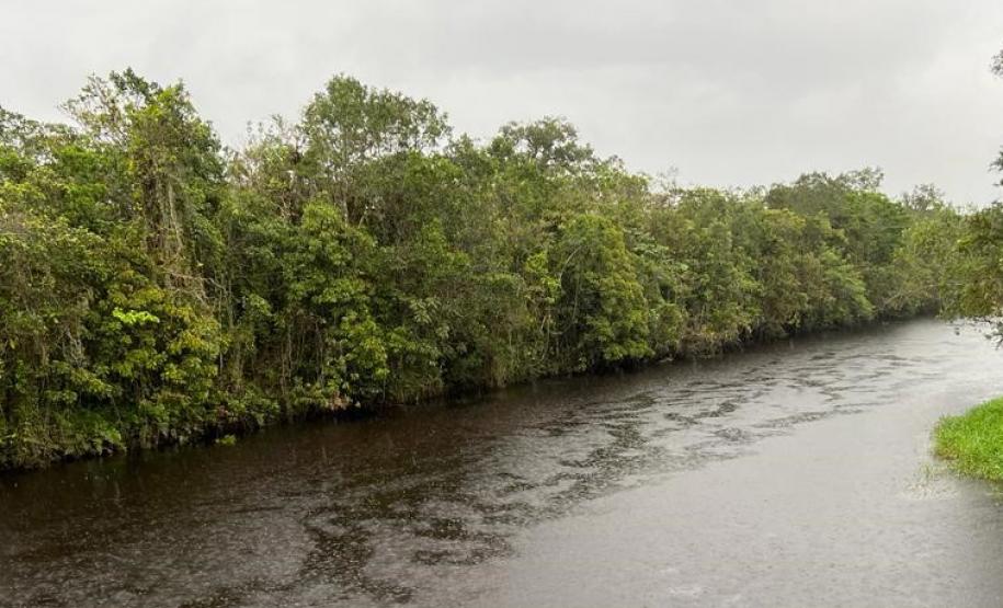 Estação Ecológica Rio das Pombas: Paraná ganha a 73ª Unidade de Conservação