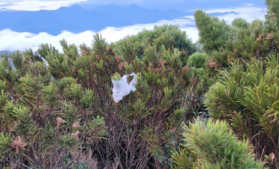 Sujeira deixada por visitantes impacta diretamente na qualidade da água de fontes do Parque Estadual Pico Paraná.