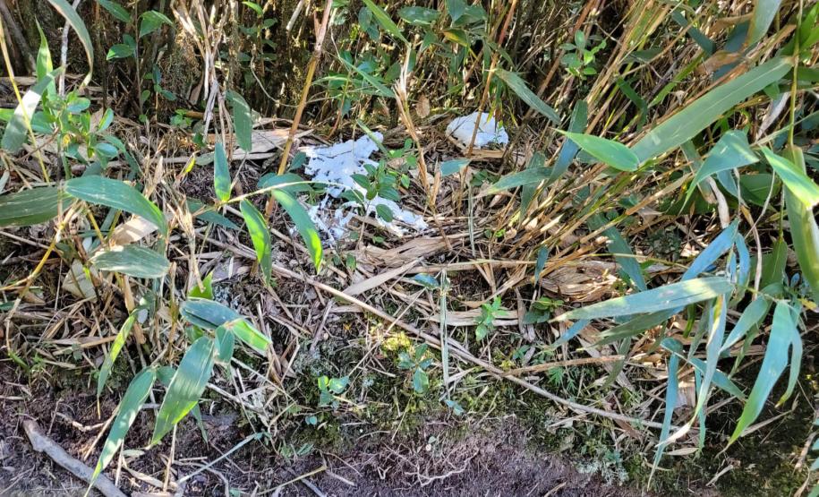 Sujeira deixada por visitantes impacta diretamente na qualidade da água de fontes do Parque Estadual Pico Paraná.