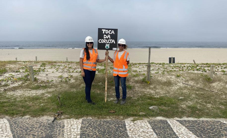 Mais biodiversidade no Litoral do Paraná: corujas-buraqueiras fazem tocas ao longo da nova Orla de Matinhos