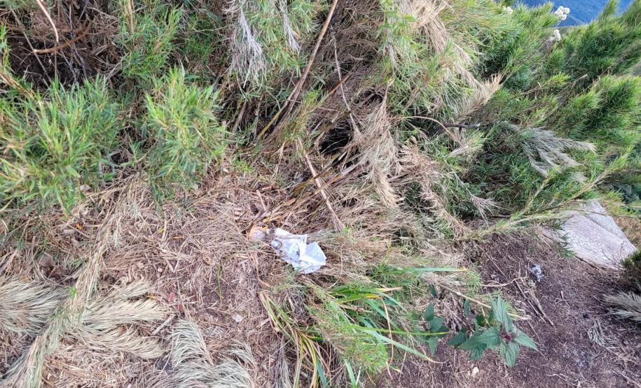 Sujeira deixada por visitantes impacta diretamente na qualidade da água de fontes do Parque Estadual Pico Paraná.