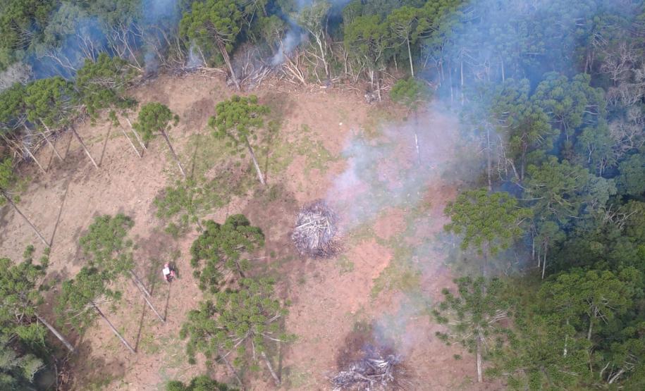 Ação integrada do IAT verificou focos de desmatamento em 43 municípios de diferentes regiões do Paraná