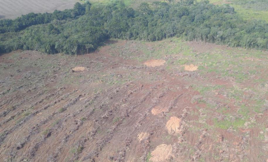 Ação integrada do IAT verificou focos de desmatamento em 43 municípios de diferentes regiões do Paraná