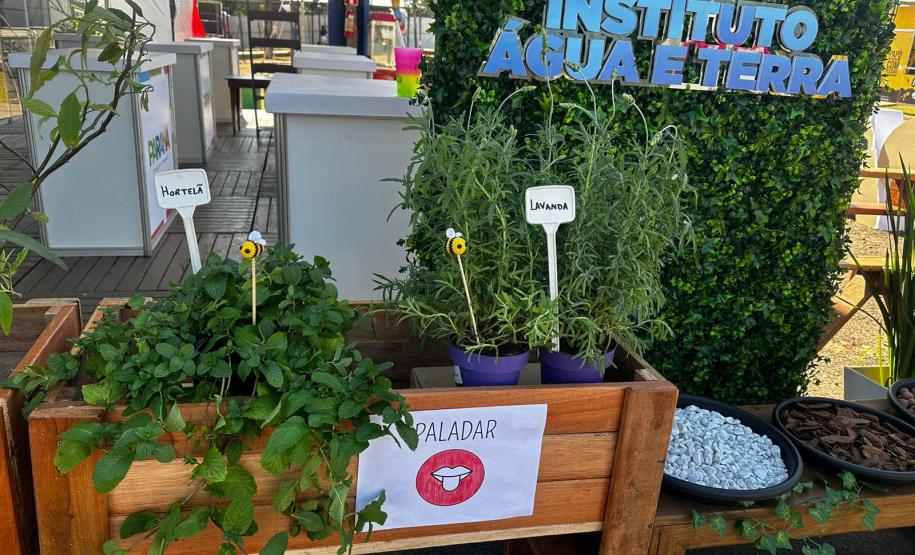 IAT promove a inclusão social e ambiental por meio dos jardins sensoriais