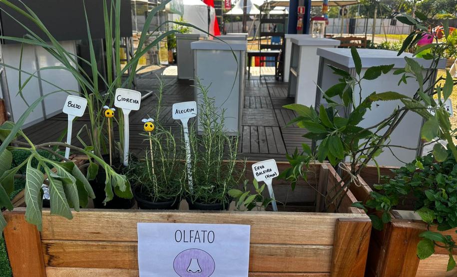 IAT promove a inclusão social e ambiental por meio dos jardins sensoriais